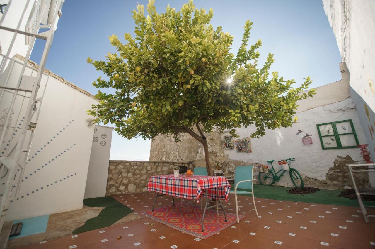 Casa Singular Y Con Encanto باينا المظهر الخارجي الصورة